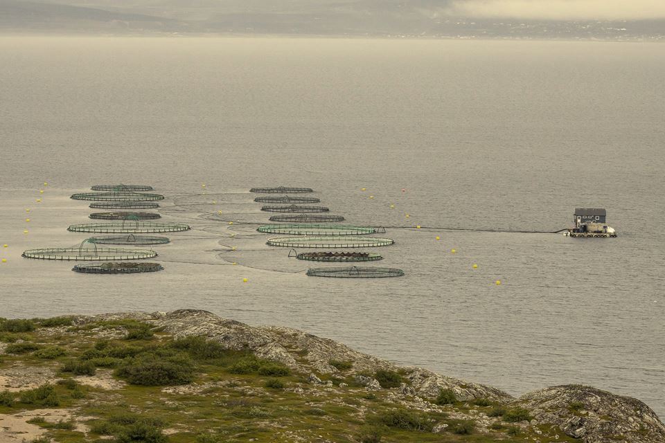 Ekologické tkaniny pre sektor akvakultúry