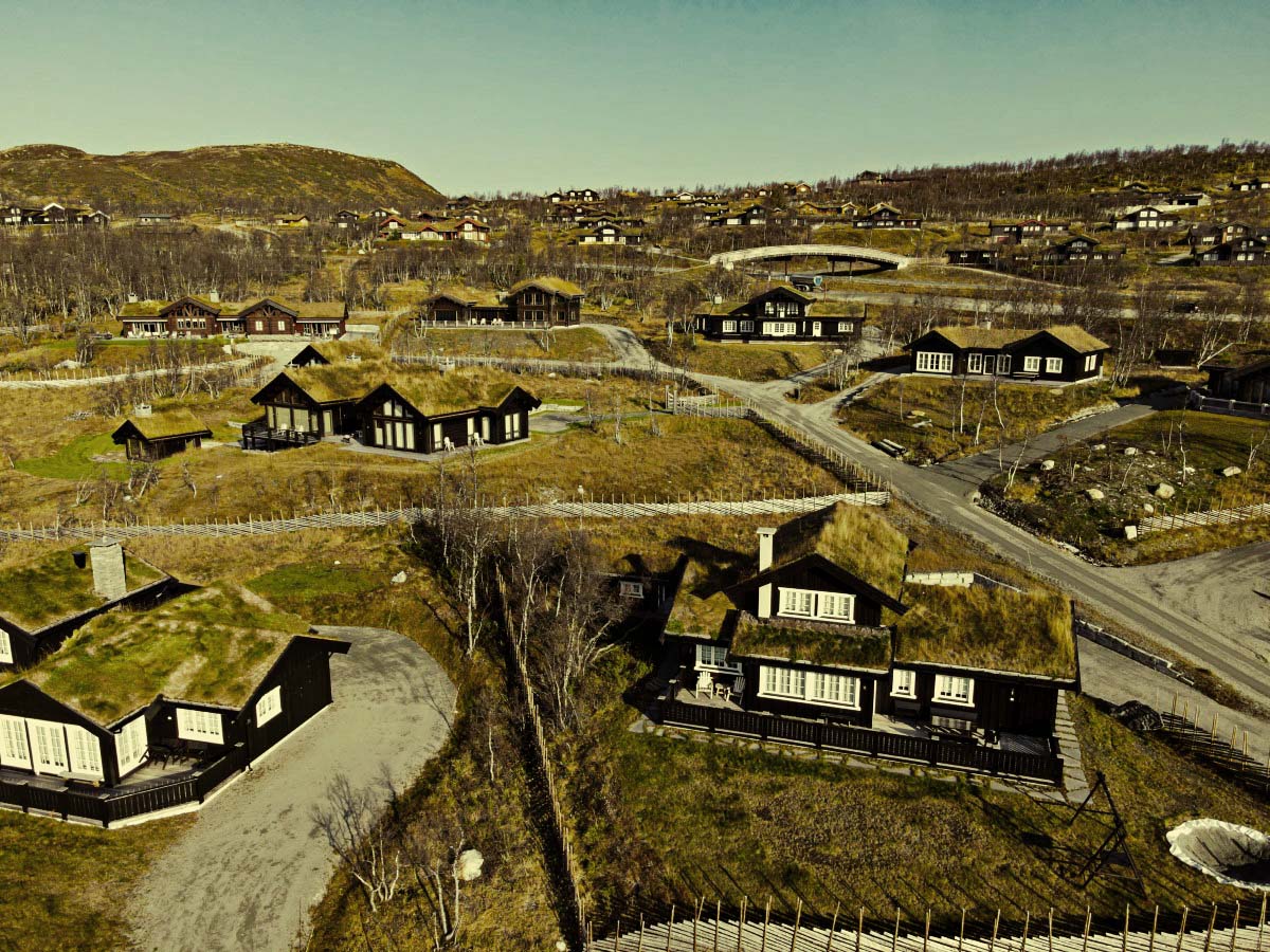 Záťažové a zelené strechy