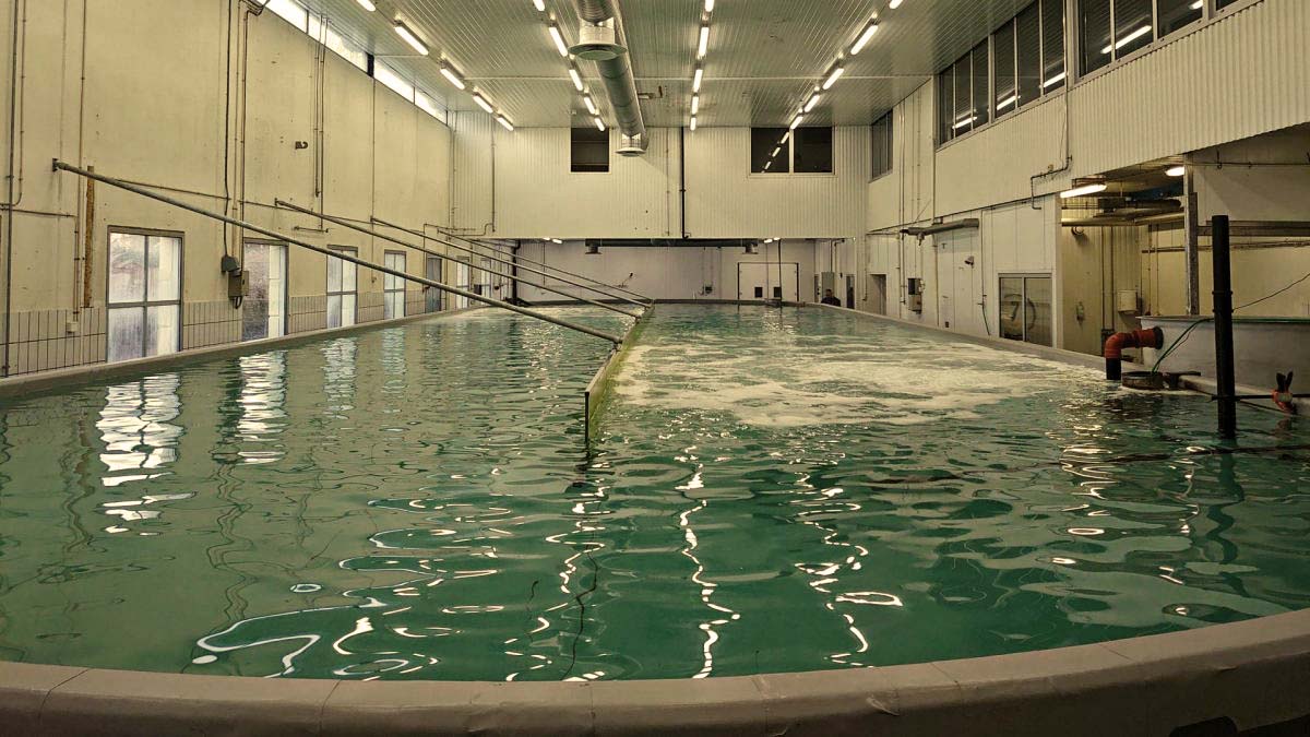 Chov kreviet pomocou bezpečnej tkaniny od Protan